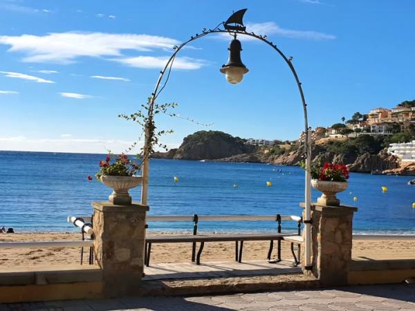 S'aprova la proposta dels Comuns per a la redacció d'un Pla anual de destinació dels ingressos provinents de la taxa turística