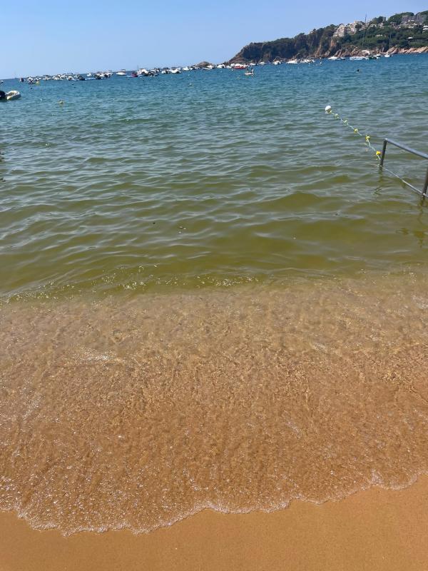 Junts denuncia la passivitat de Generalitat i Ajuntament de Sant Feliu davant del mal estat de l’aigua de la platja de Sant Po