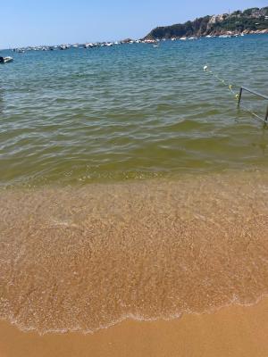 Junts denuncia la passivitat de Generalitat i Ajuntament de Sant Feliu davant del mal estat de l’aigua de la platja de Sant Po